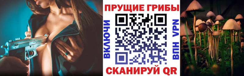 маркетплейс формула  Павловск  Галлюциногенные грибы прущие грибы  закладки 